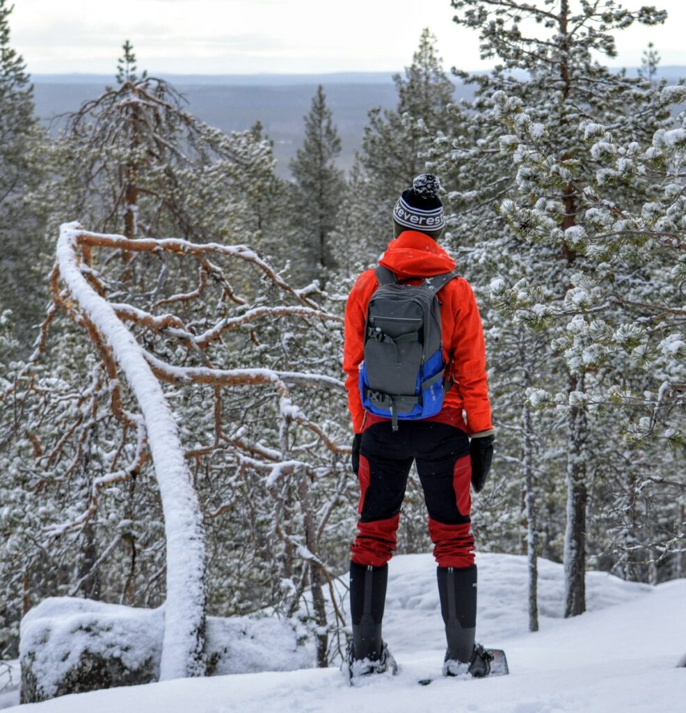 person standing watching tree during daytime